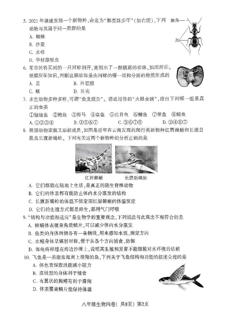 山东省聊城市阳谷县2024-2025学年八年级上学期期中生物试卷第2页