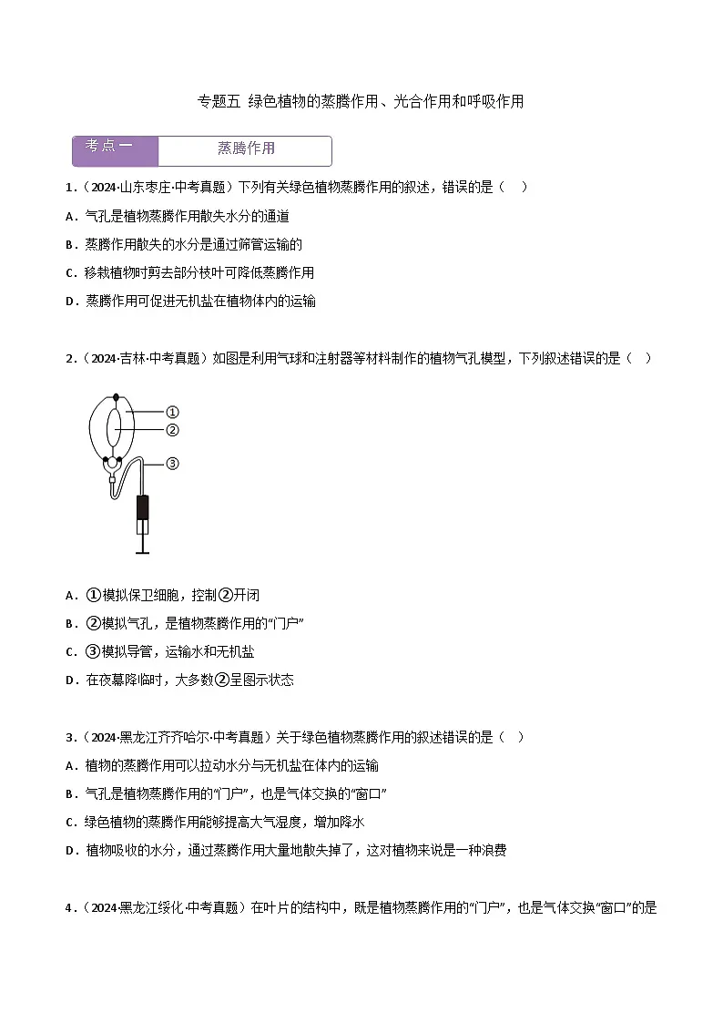 2022--2024年中考生物真题分类汇编-专题05 绿色植物的蒸腾作用、光合作用和呼吸作用(原卷版)第1页