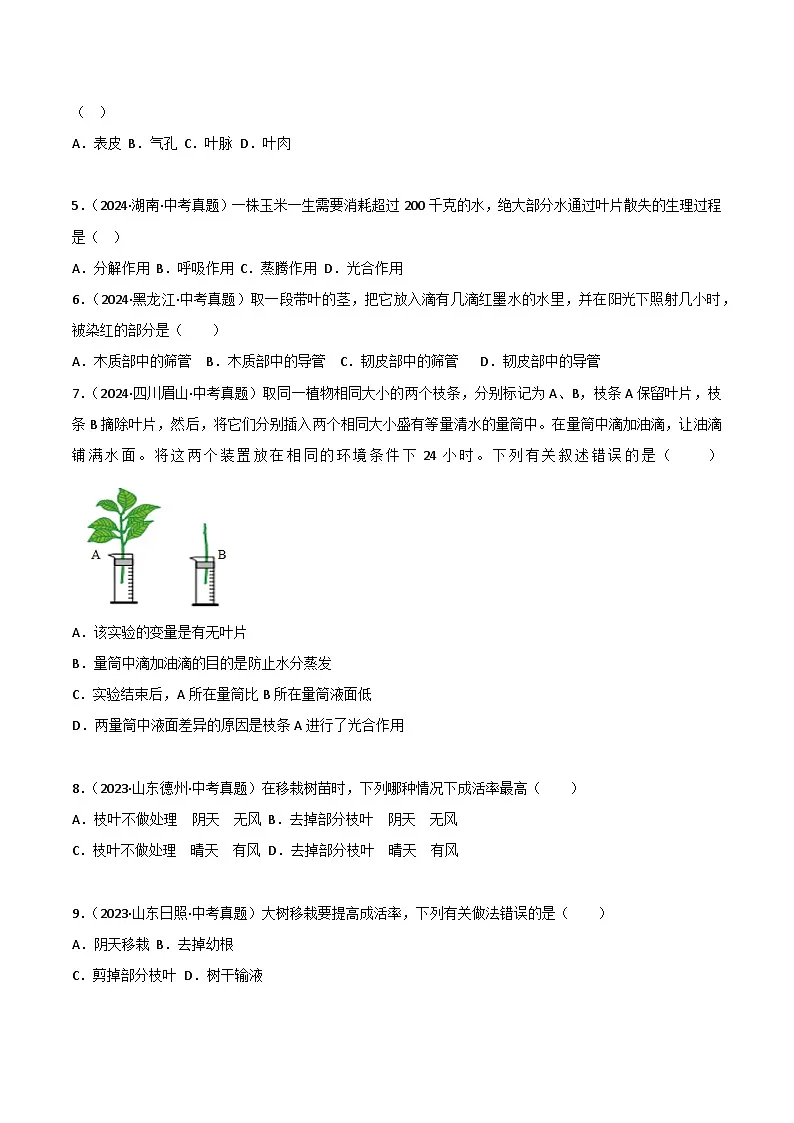2022--2024年中考生物真题分类汇编-专题05 绿色植物的蒸腾作用、光合作用和呼吸作用(原卷版)第2页