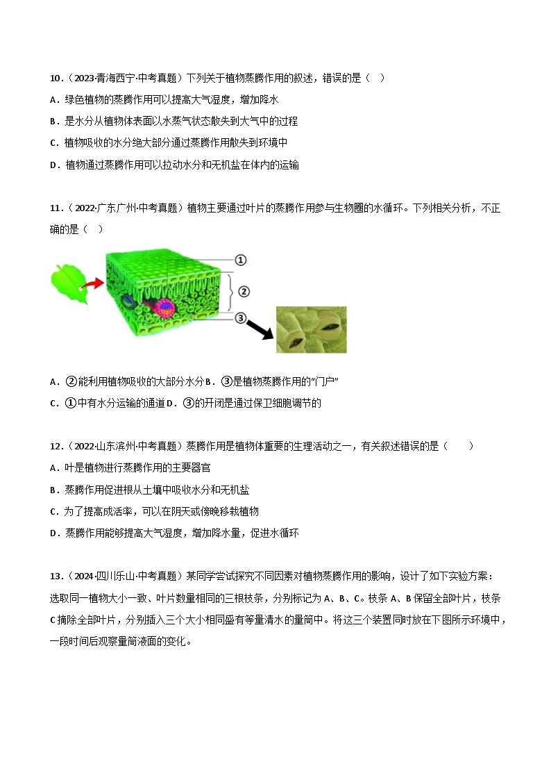 2022--2024年中考生物真题分类汇编-专题05 绿色植物的蒸腾作用、光合作用和呼吸作用(原卷版)第3页