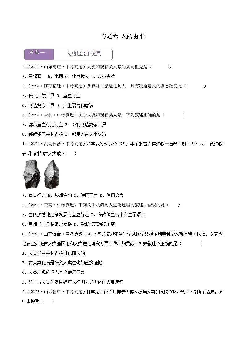 2022--2024年中考生物真题分类汇编-专题06 人的由来(原卷版)第1页
