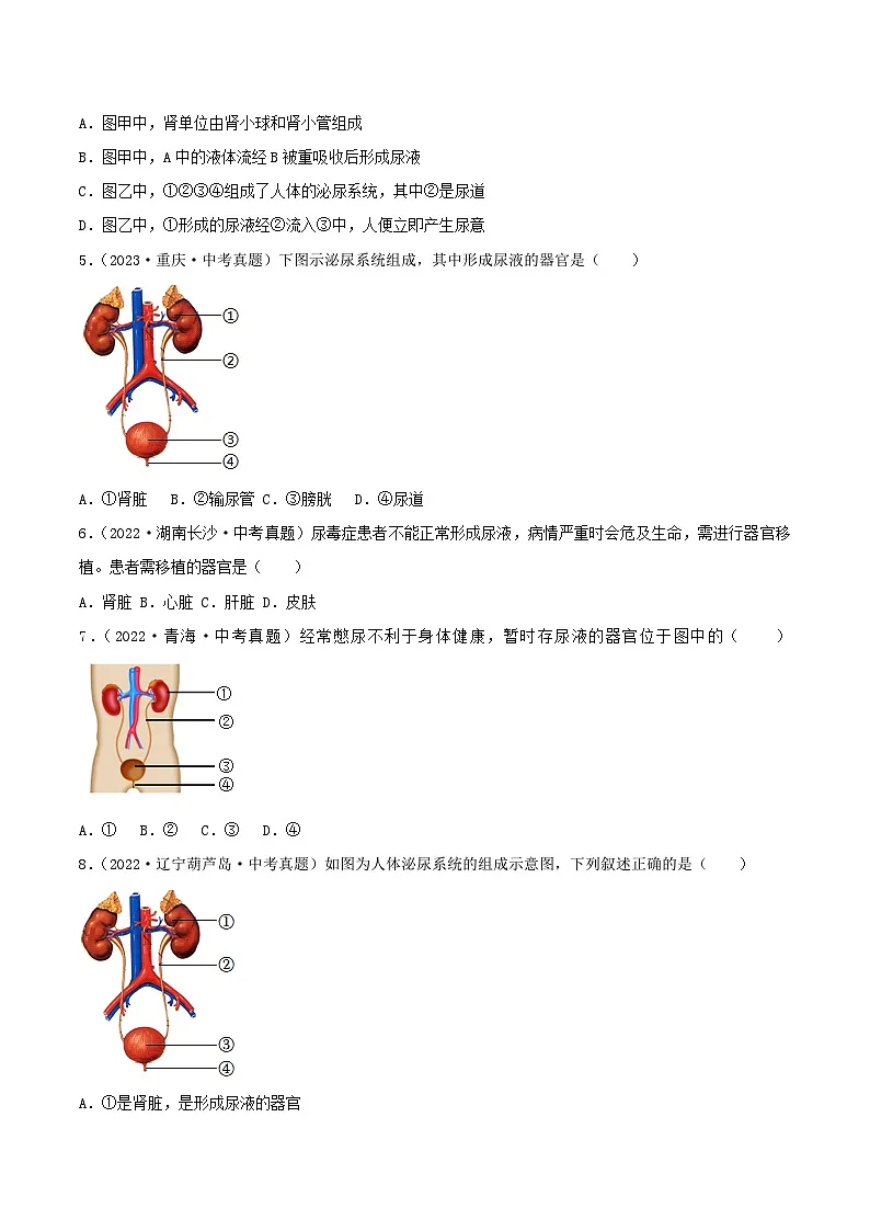 2022--2024年中考生物真题分类汇编-专题10 人体内废物的排出(原卷版)第2页