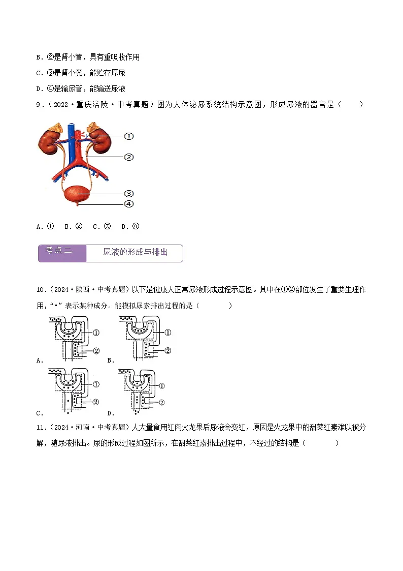 2022--2024年中考生物真题分类汇编-专题10 人体内废物的排出(原卷版)第3页