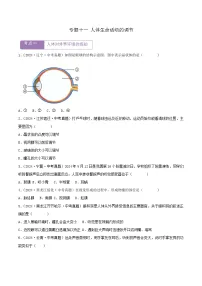 2022--2024年中考生物真题分类汇编-专题11 人体生命活动的调节（原卷版）
