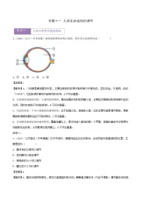2022--2024年中考生物真题分类汇编-专题11 人体生命活动的调节（解析版）