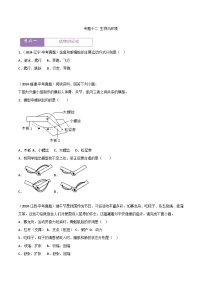 2022--2024年中考生物真题分类汇编-专题12  动物的运动和行为（原卷版）