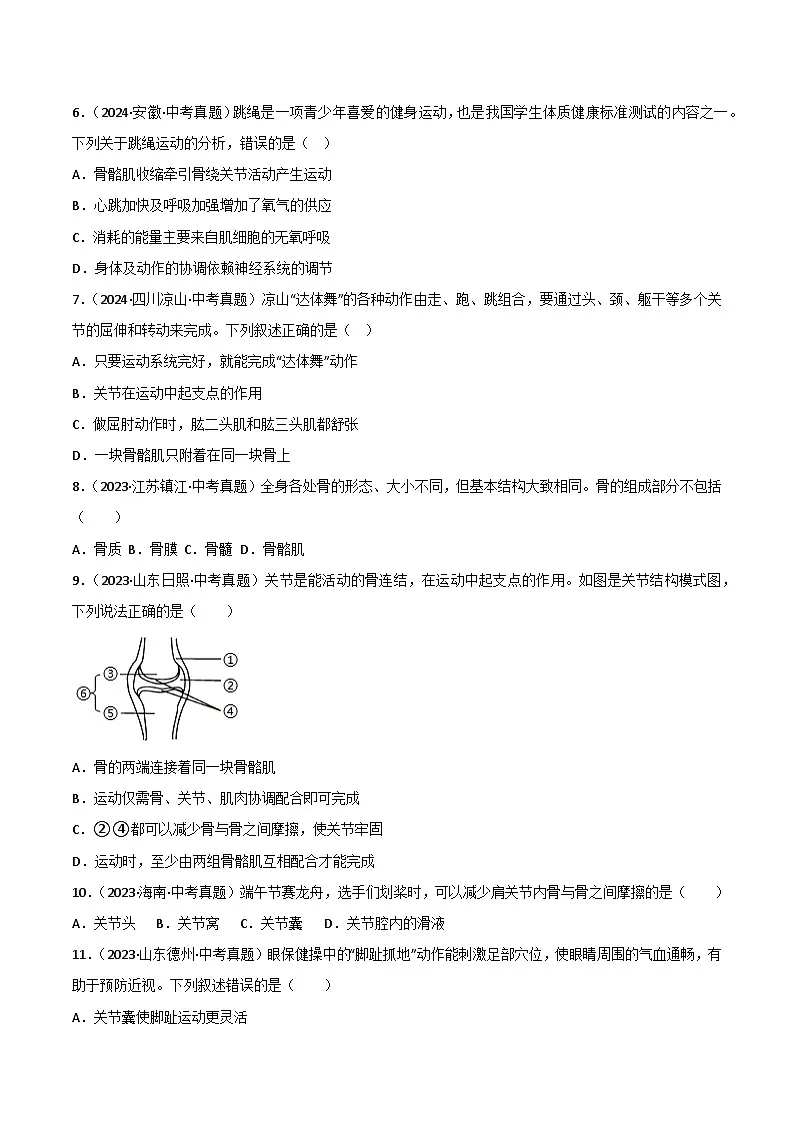 2022--2024年中考生物真题分类汇编-专题12 动物的运动和行为(原卷版)第2页