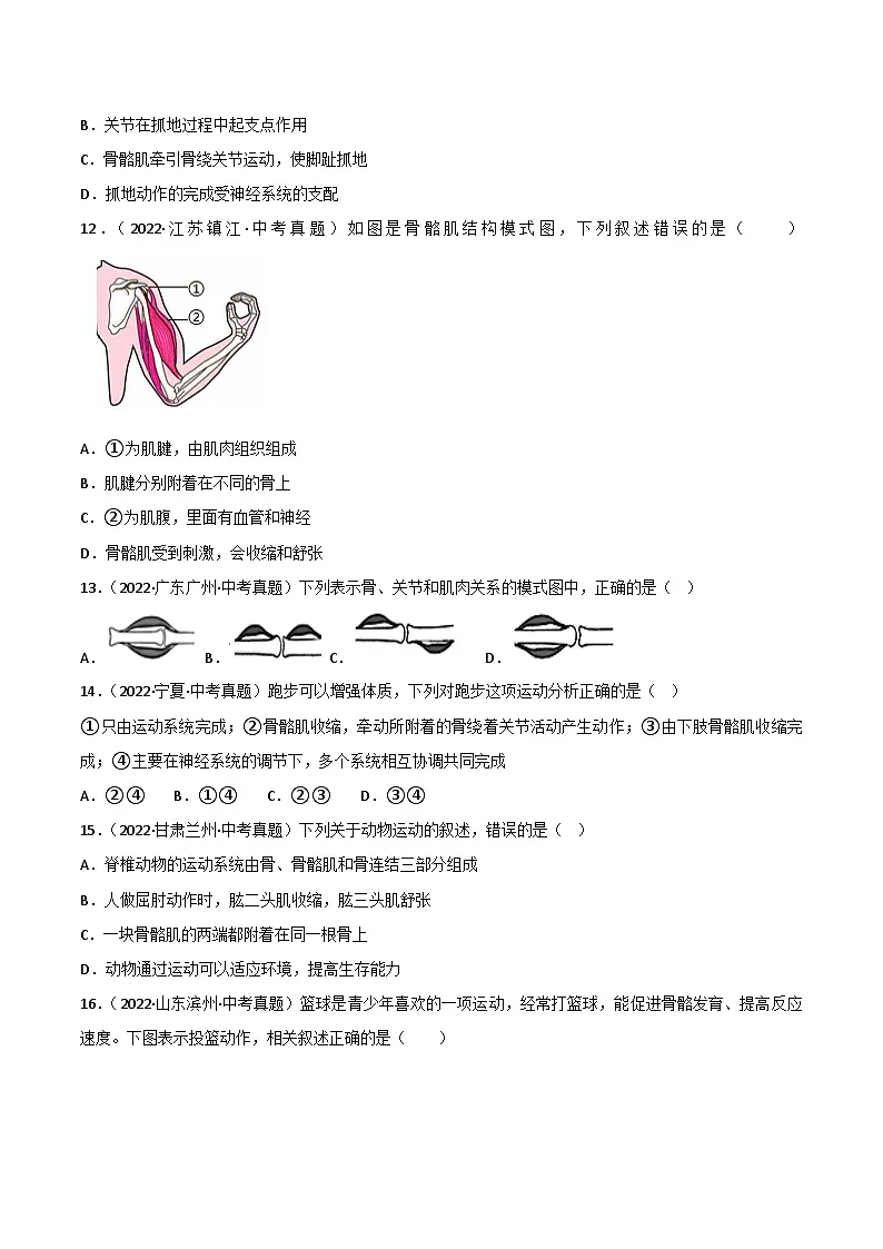 2022--2024年中考生物真题分类汇编-专题12 动物的运动和行为(原卷版)第3页