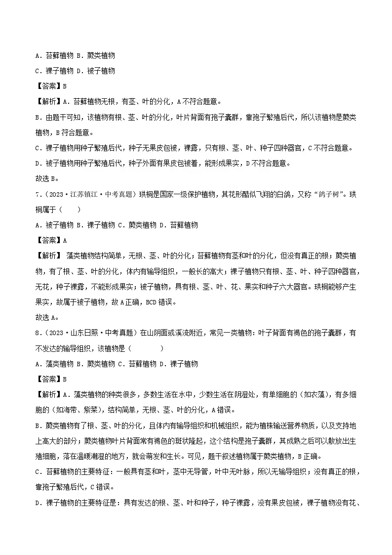 2022--2024年中考生物真题分类汇编-专题13 植物、动物和微生物类群(解析版)第3页