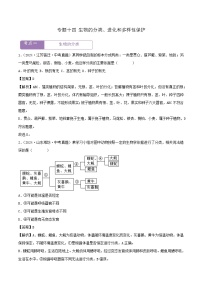 2022--2024年中考生物真题分类汇编-专题14  生物的分类、进化和多样性保护（解析版）