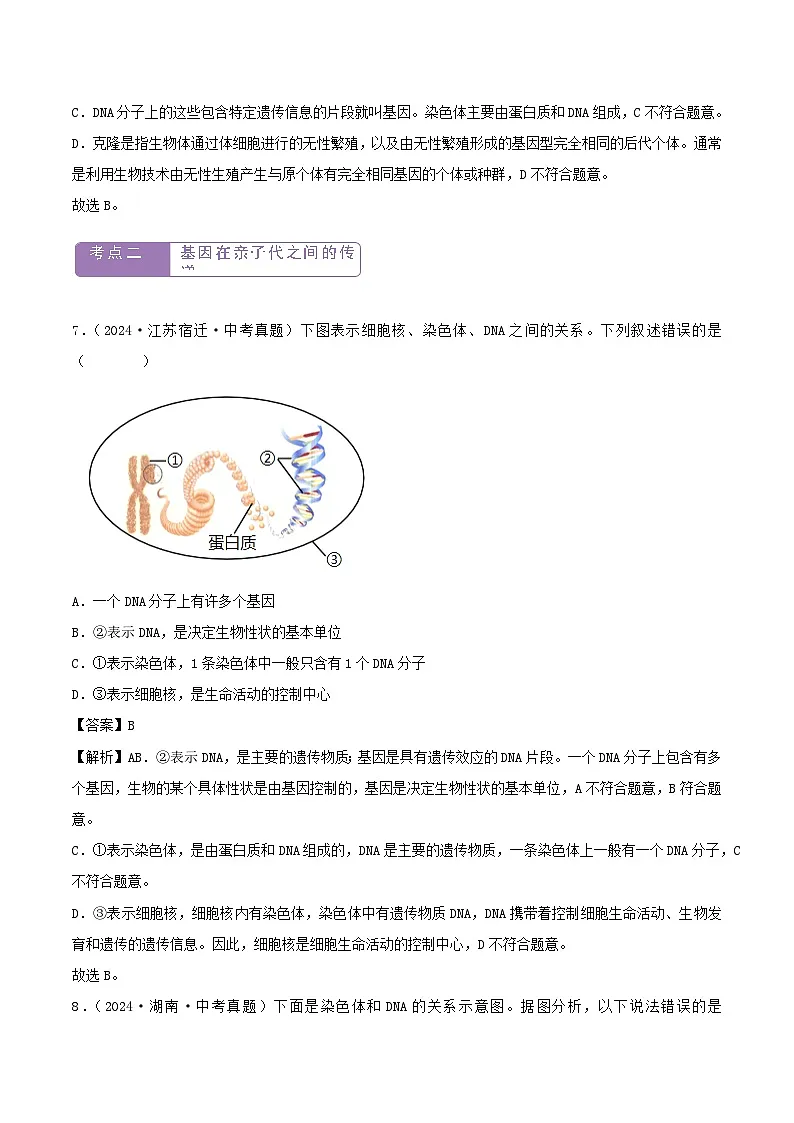2022--2024年中考生物真题分类汇编-专题16 生物的遗传和变异(解析版)第3页