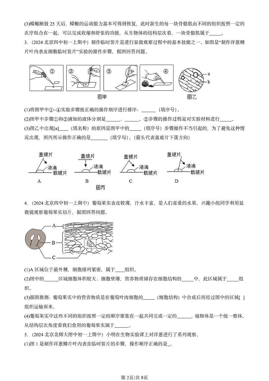 2024北京重點(diǎn)校初一(上)期中真題生物匯編:生物體的結(jié)構(gòu)章節(jié)綜合(綜合題)京改版第2頁