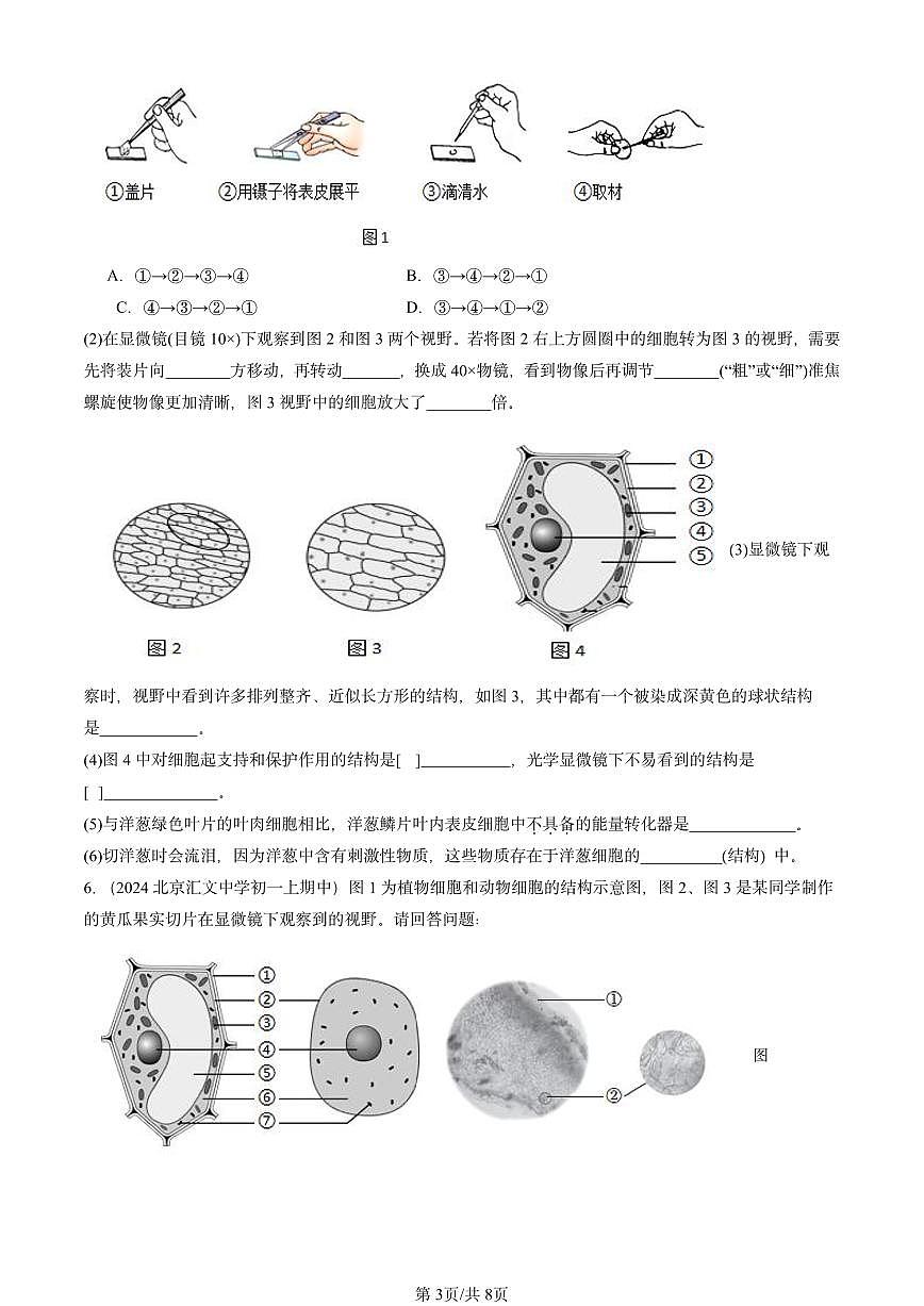 2024北京重點(diǎn)校初一(上)期中真題生物匯編:生物體的結(jié)構(gòu)章節(jié)綜合(綜合題)京改版第3頁