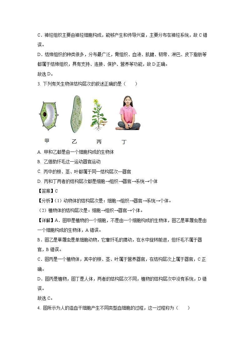 2024~2025学年河南省驻马店市确山县部分初中七年级上学期期末生物试卷(解析版)第2页