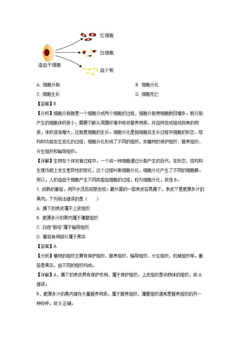 2024~2025学年河南省驻马店市确山县部分初中七年级上学期期末生物试卷(解析版)第3页