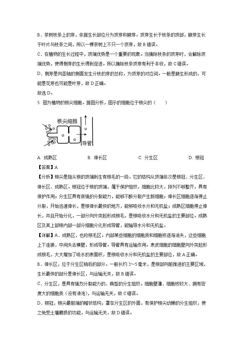 2024~2025学年广西来宾市象州县八年级上学期期末生物试卷(解析版)第3页