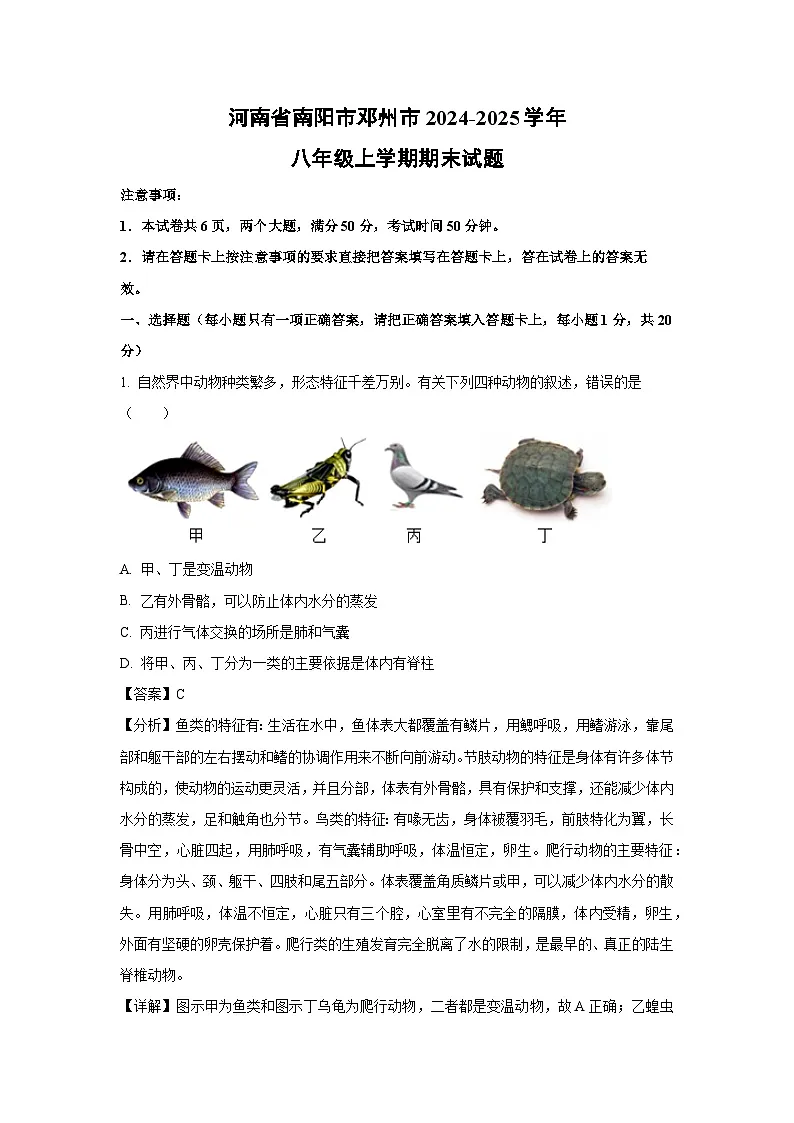 2024~2025学年河南省南阳市邓州市八年级上学期期末生物试卷(解析版)第1页