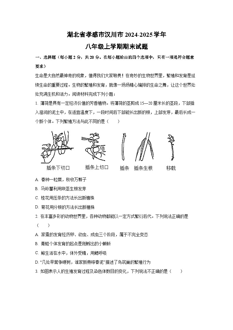 2024~2025学年湖北省孝感市汉川市八年级上学期期末生物试卷(解析版)第1页