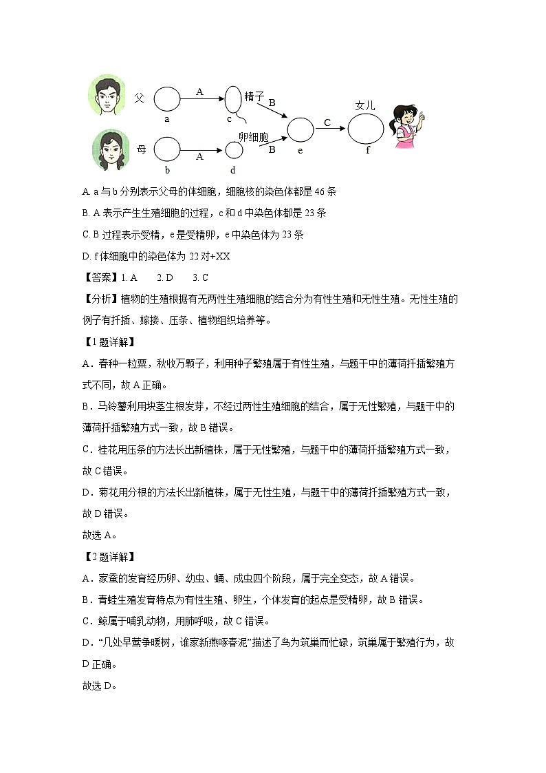 2024~2025学年湖北省孝感市汉川市八年级上学期期末生物试卷(解析版)第2页