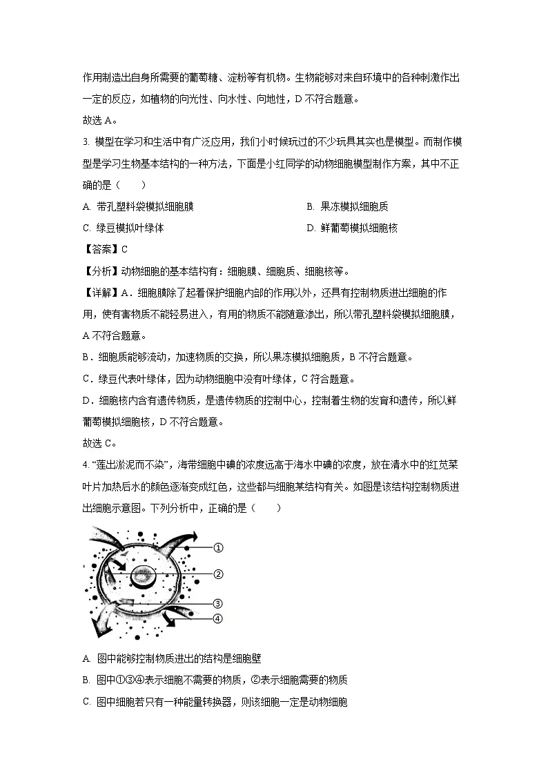 2024-2025学年河北省保定市徐水区七年级上学期期末生物试卷(解析版)第3页