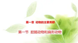 鲁科版八年级生物上册第一章7.1.1腔肠动物和扁形动物教学课件+训练含答案