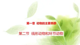 鲁科版八年级生物上册第一章7.1.2线形动物和环节动物教学课件+训练含答案