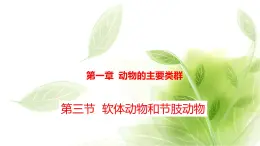 鲁科版八年级生物上册第一章7.1.3软体动物和节肢动物教学课件+训练含答案