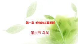 鲁科版八年级生物上册第一章7.1.6鸟类教学课件+训练含答案