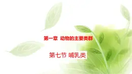 鲁科版八年级生物上册第一章7.1.7哺乳类教学课件+训练含答案