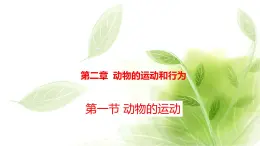 鲁科版八年级生物上册第二章7.2.1动物的运动教学课件+训练含答案