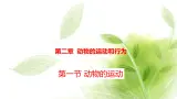 鲁科版八年级生物上册第二章7.2.1动物的运动教学课件+训练含答案