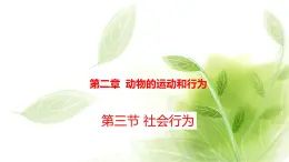 鲁科版八年级生物上册第二章7.2.3社会行为教学课件+训练含答案