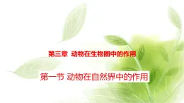 鲁科版八年级生物上册第三章7.3.1动物在自然界中的作用教学课件+训练含答案