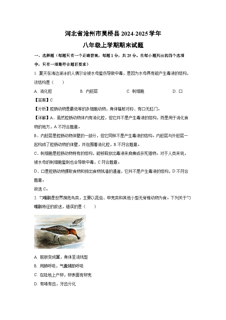 2024~2025學(xué)年河北省滄州市吳橋縣八年級(jí)上學(xué)期期末生物試卷（解析版）第1頁(yè)