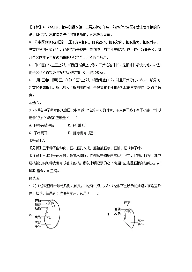 2024~2025学年河北省张家口市怀安县八年级上学期期末生物试卷(解析版)第2页