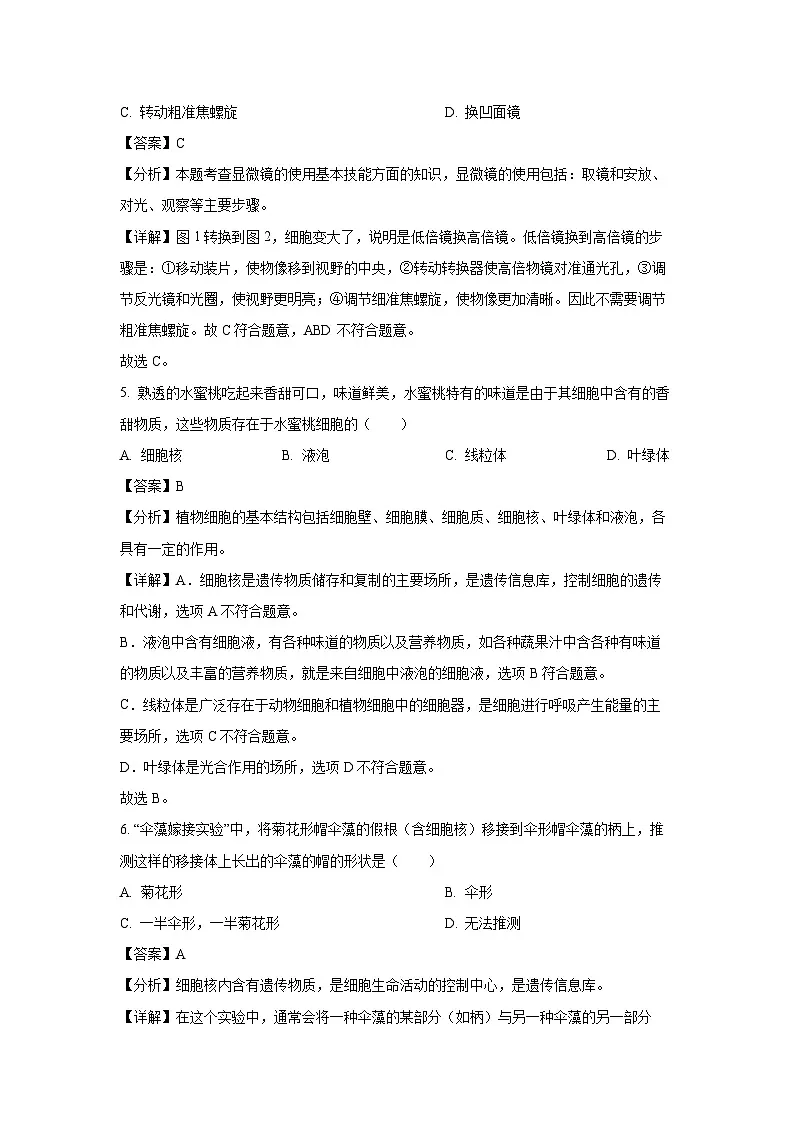 2024~2025学年陕西省咸阳市永寿县七年级上学期期末生物试卷(解析版)第3页