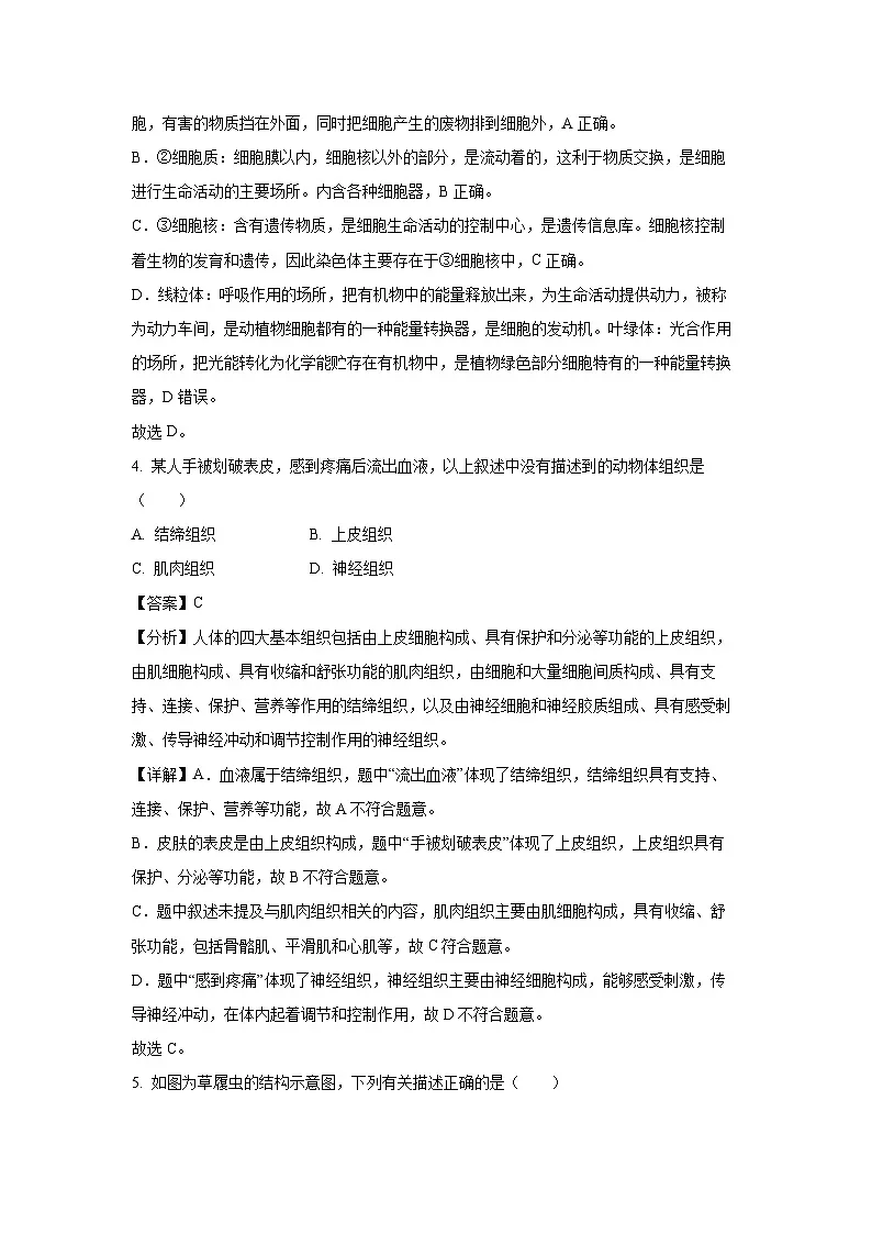 2024~2025学年辽宁省沈阳市法库县七年级上学期期末生物试卷(解析版)第3页