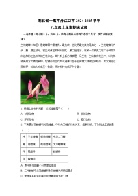 2024~2025学年湖北省十堰市丹江口市八年级上学期期末生物试卷（解析版）