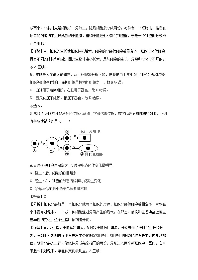 2023~2024学年江苏省徐州市某校七年级下3月月考生物试卷(解析版)第2页