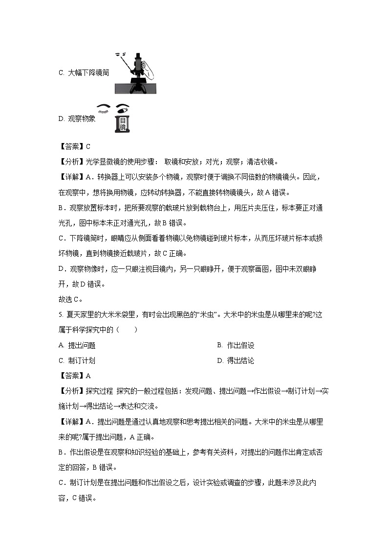 2024~2025学年江苏省徐州市丰县七年级上学期期中生物试卷(解析版)第3页