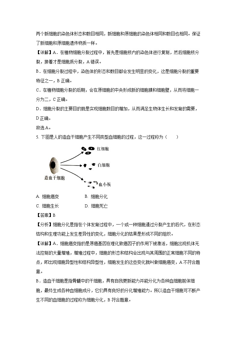 2023~2024学年江苏省徐州市七年级下学期期末生物试卷(解析版)第3页