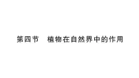 初中生物人教版（2024）七年级下册（2024）第四节 植物在自然界中的作用作业ppt课件