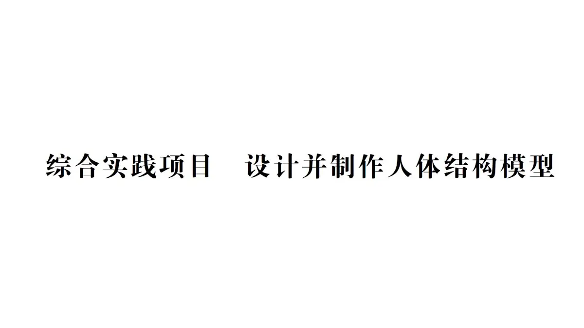 初中生物新人教版七年级下册第四单元第五章综合实践项目 设计并制作人体结构模型作业课件2025春第1页