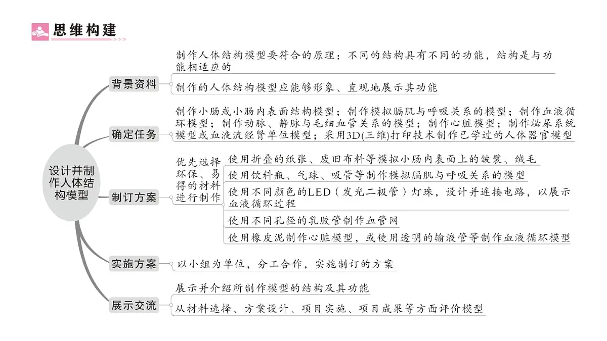 初中生物新人教版七年级下册第四单元第五章综合实践项目 设计并制作人体结构模型作业课件2025春第2页