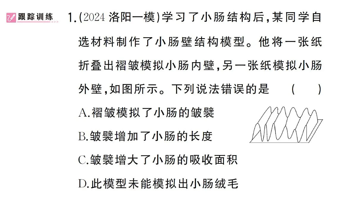 初中生物新人教版七年级下册第四单元第五章综合实践项目 设计并制作人体结构模型作业课件2025春第3页
