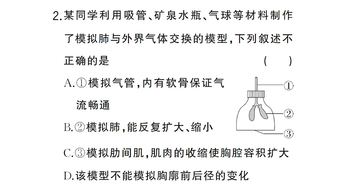 初中生物新人教版七年级下册第四单元第五章综合实践项目 设计并制作人体结构模型作业课件2025春第4页
