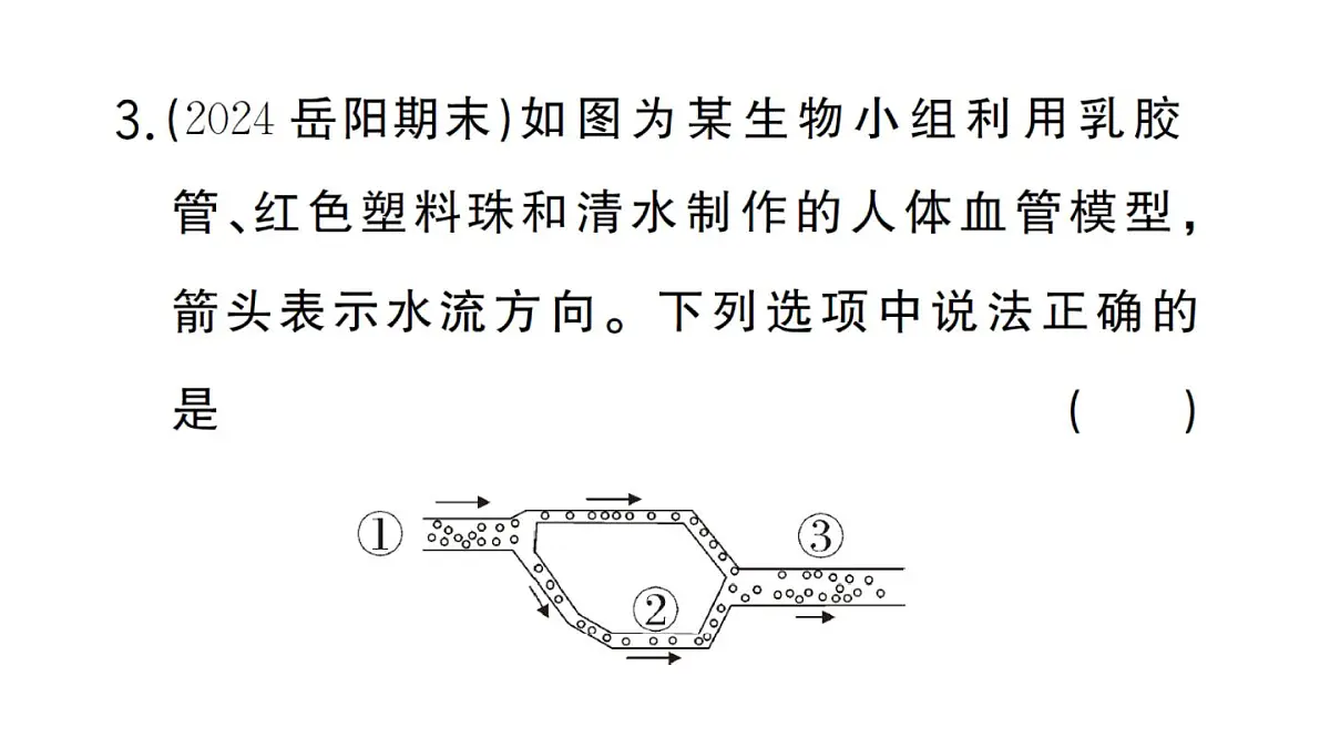 初中生物新人教版七年级下册第四单元第五章综合实践项目 设计并制作人体结构模型作业课件2025春第5页