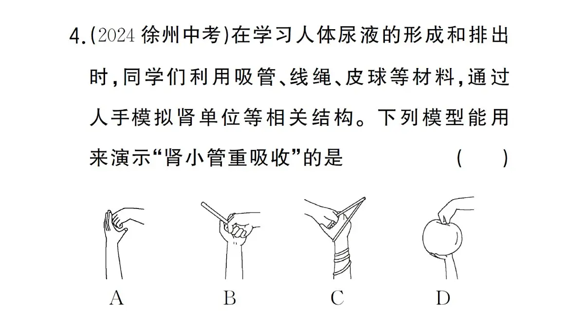初中生物新人教版七年级下册第四单元第五章综合实践项目 设计并制作人体结构模型作业课件2025春第7页