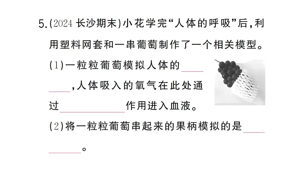 初中生物新人教版七年级下册第四单元第五章综合实践项目 设计并制作人体结构模型作业课件2025春第8页