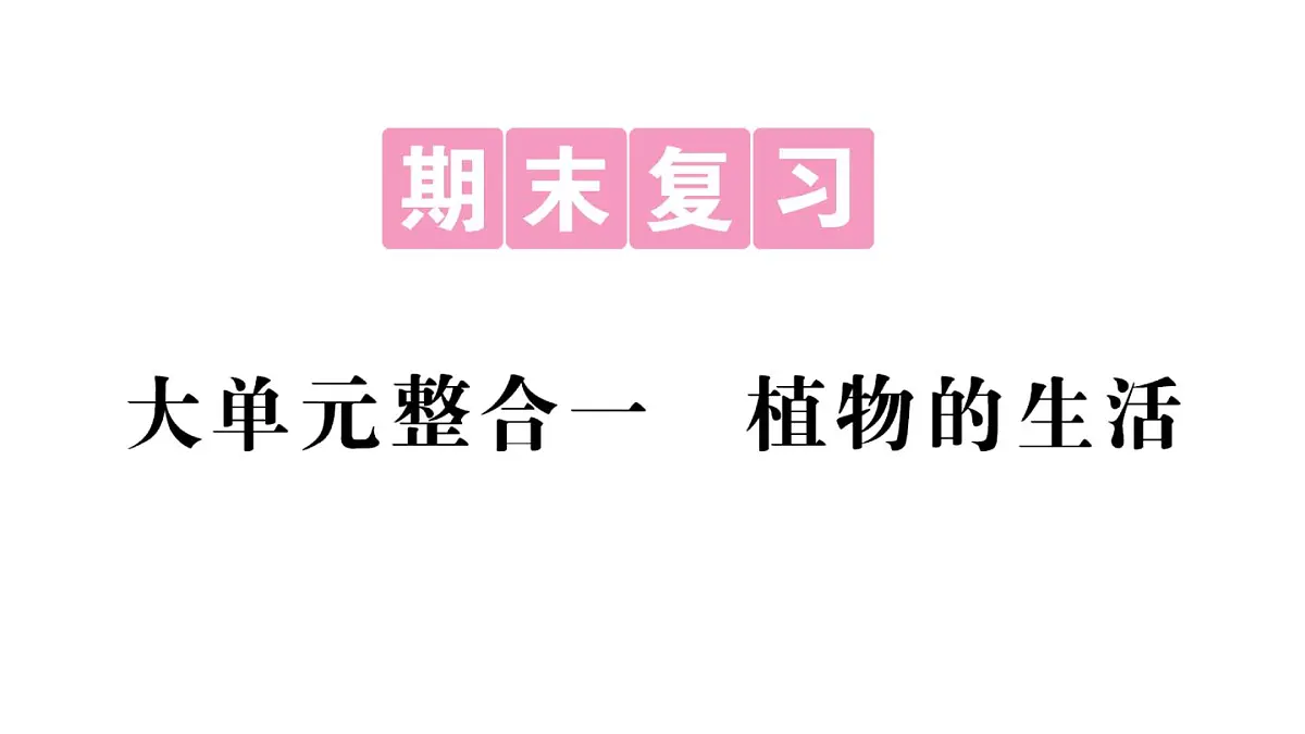 初中生物新人教版七年级下册期末大单元整合一 植物的生活作业课件2025春第1页